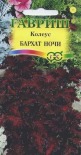 Цв.Колеус Бархат ночи Гавриш 4 шт. - уменьшеная