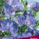 Клуб.Фрезия гибридная махровая Блу (голубой)  (10)  цена за 1шт. - уменьшеная