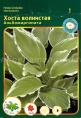 Клуб.Хоста Альбомаргината (листья темно-зеленые с тонким белым краем) - уменьшеная