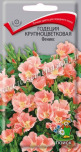 Цв.Годеция Феникс Поиск 0,2гр (крупноцв.,лососево-оранжевая , 40см) - уменьшеная