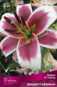 Клуб.Лилии ОТ-гибрид Джудит Саффинья (крупный, бордово-малиновый с белым кантом) (2) цена за 1шт. - уменьшеная