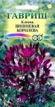 Цв.Клеома Вишневая королева Гавриш 0,3 гр. - уменьшеная