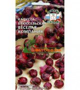 Капуста брюссельская Веселая Компания красная СеДек цв.п 0,3гр (среднеранняя) - уменьшеная