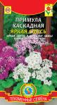 Цв.Примула каскадная Яркая смесь Плазмас - уменьшеная