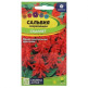 Цв.Сальвия сверкающая Скарлет Семена Алтая 0,1гр (красная, 20-30см) - уменьшеная