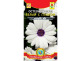 Цв.Остеоспермум Белый с глазком Плазмас - уменьшеная