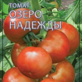 Томат Оранжевый Слон Минусинский НК (Вкуснятина) цв.п. 10шт.(сердцевидный, десертный, крупный) - уменьшеная