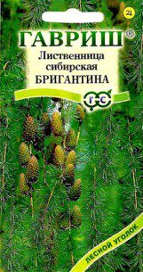 Цв.Лимонник китайский Волгарь Гавриш  0,2гр. - уменьшеная