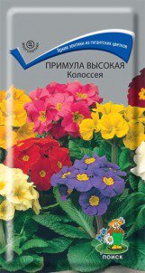 Цв.Примула высокая Колоссея (многол.) Поиск 0,05г - уменьшеная