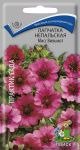 Цв.Лапчатка непальская Мисс Вильмонт (многол.) Поиск (вишнево-розовая) - уменьшеная