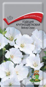 Цв.Годеция Вейсер Страус Поиск 0,2гр (крупноцв., белая, 40см) - уменьшеная