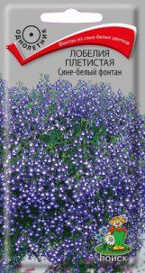 Цв.Лобелия Фонтан Сине-белый плетистая Поиск 0,1гр (30см) - уменьшеная