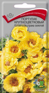 Цв.Эустома Розалина Черная жемчужина (крупноцв., аметистовая) Гавриш 4шт. - уменьшеная