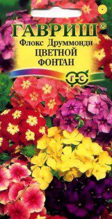 Цв.Флокс Цветной фонтан друммонда смесь Гавриш 0,1гр (30-50см) - уменьшеная