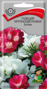 Цв.Годеция Богема Поиск 0,2гр (крупноцв., красно-белая смесь, 40см) - уменьшеная