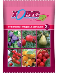 Х.Хорус (2гр) ВХ  для борьбы с болезнями косточковых и плодовых культур уп.200 шт.