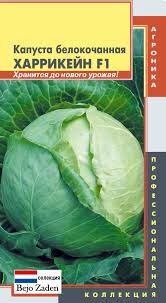 Капуста Харрикейн F1 Плазмас цв.п. 10шт.(идеален для хранения, кочан до 8кг)