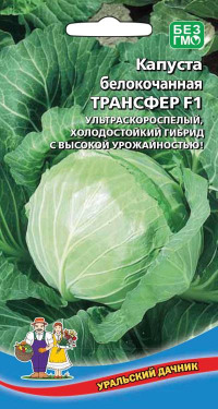 Капуста Трансфер F1 УД  цв.п.