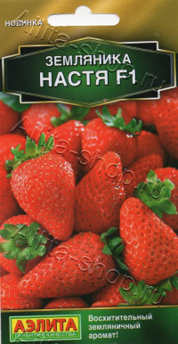 Земляника Настя F1 Аэлита цв.п. 10шт.(ремонтант., ягоды ярко-красные, конусовидные)