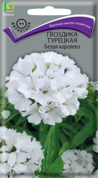 Цв.Гвоздика Турецкая Белая Королева Поиск 0,3гр