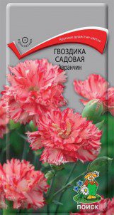 Цв.Гвоздика садовая Авранчин Поиск 1 гр. (крупные махровые цветы)